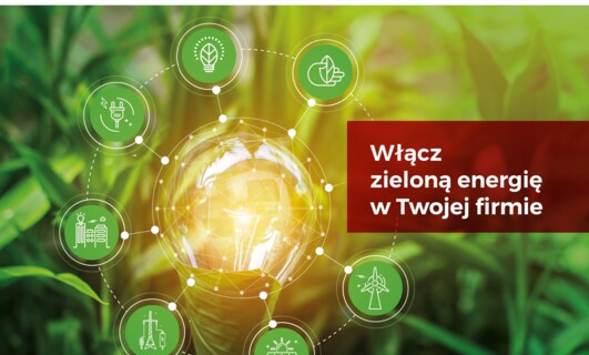 AVIA Solar wystartowała z ofertą zielonej energii dla firm